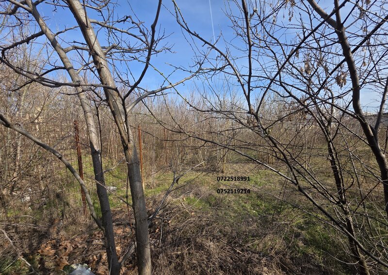 Teren intravilan, 5000 mp, Bld. Timisoara, Dr. Taberei. Ocazie!